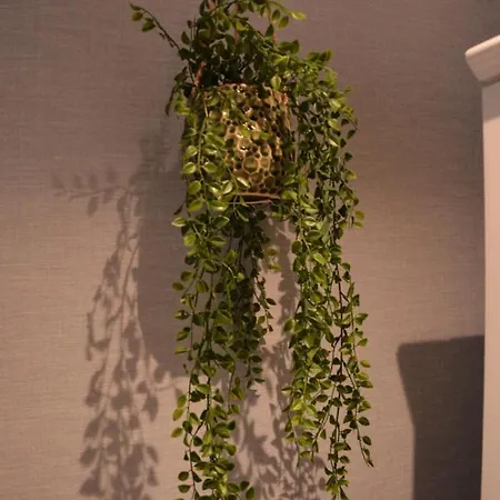 Heaven In East Amsterdam