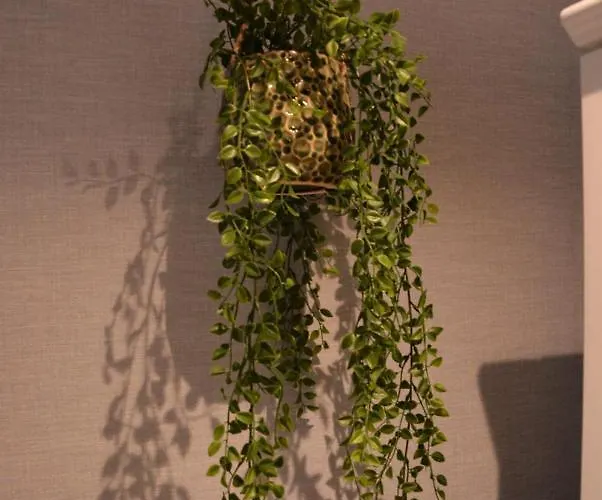 Heaven In East Ámsterdam